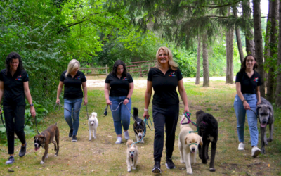 Unleashing the Power of Understanding: Cherisse Feddock’s Journey to Canine Behavior Expertise